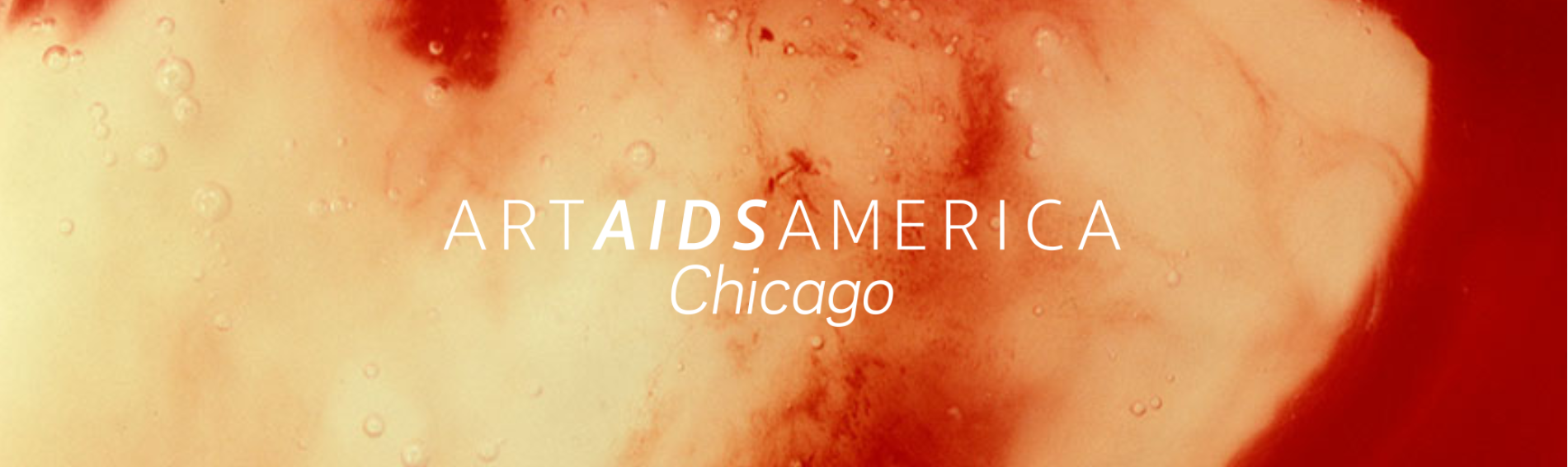 Art AIDS America Chicago